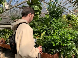 Campbell's Nurseries & Garden Centers