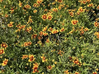 Heritage West Nursery Lincoln