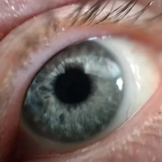 Jon V.