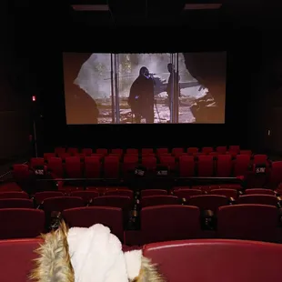 Entire theater to ourselves!