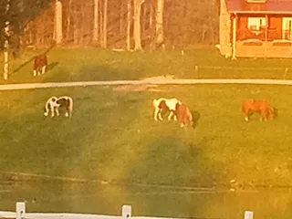 Guggisberg Swiss Inn