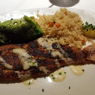Snapper