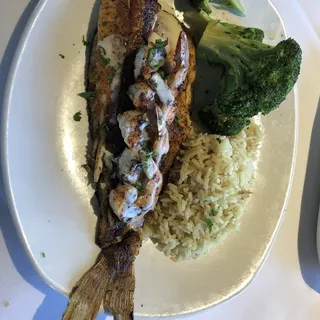 Redfish