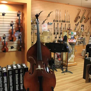 A cello... the best cello...