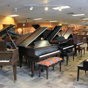 A PONY! Wait, no, those are Kawai grand pianos.