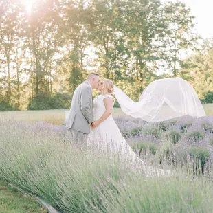 A summer wedding in the lavender fields at Lane57 farm.