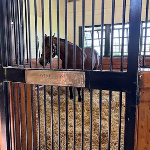 Horse at lanes end .