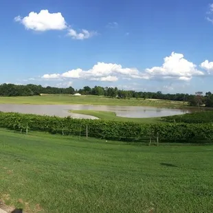 Amazing view from the restaurant&apos;s front door.