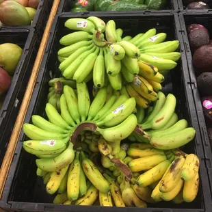 food, sushi and sashimi