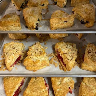 Fresh baked scones daily