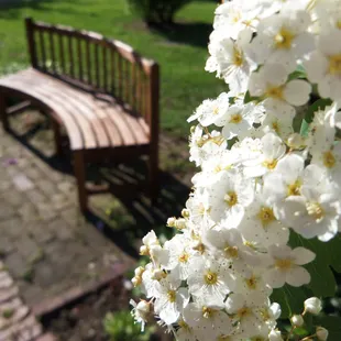 Lanier Mansion grounds