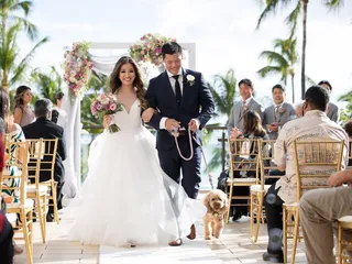 A Perfect Day Hawaii