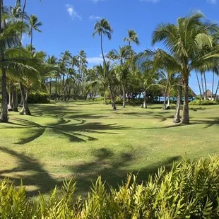 Phase 1 panoramic