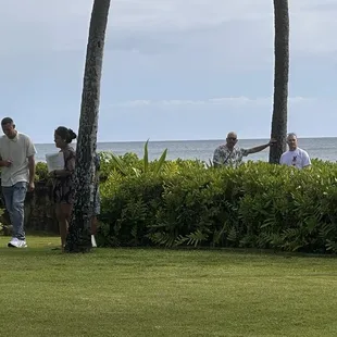 Beachside grounds