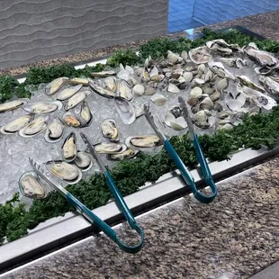 outside, oysters and mussels