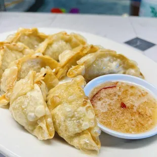 Pot sticker lover