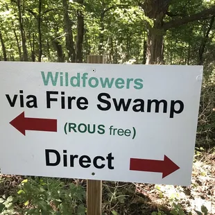 Fire "swamp" is R.O.U.S.-free