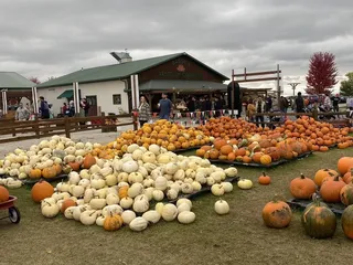 Basse's Taste of Country Farmers Market