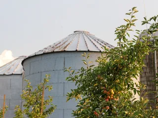 Muskego U-Pick Apples