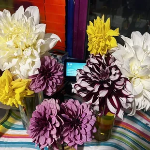 Dahlias