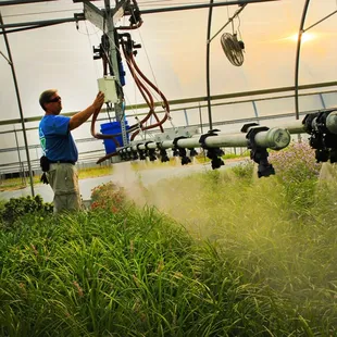 Growing the highest quality plant material using the latest technology.