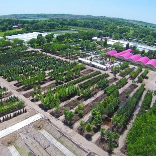 A vast variety of trees available in potted, balled and burlap and up to 54'' spade trees.