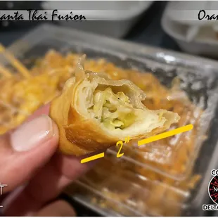 Egg roll - So, is this the &quot;Fun Size,&quot; or egg roll sampler? (Egg roll, scoop rice, &amp; salad included w/Lunch Special)