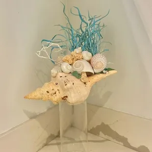 Seashell decor