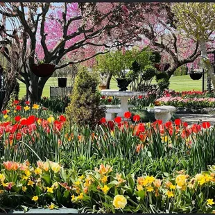 The beautiful spring gardens at Lanthier Winery and Distillery!