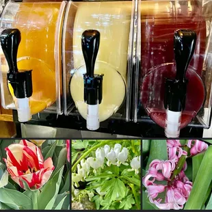 SLUSHIES and flowers at Lanthier Winery