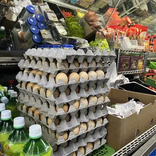 Groceries
