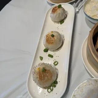 Pan Fried Pork Dumplings 6