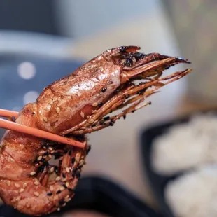 Pan-fried Patagonia Giant Red Prawns with Scallion Oil /