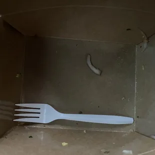 What was left from my Nam Khao salad. Yumm!