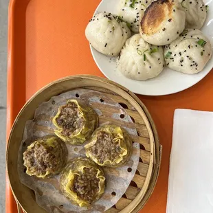 Sumai and pan fried pork dumpling