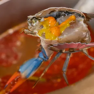 CRAB