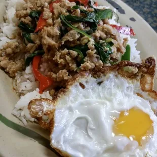 Spicy chicken basil over a bed of rice and over easy egg
