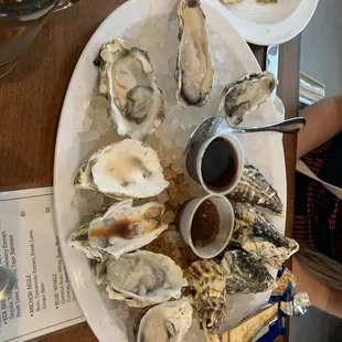 Oysters