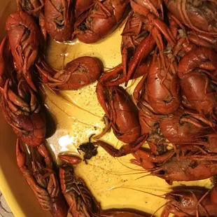 craws in a bowl