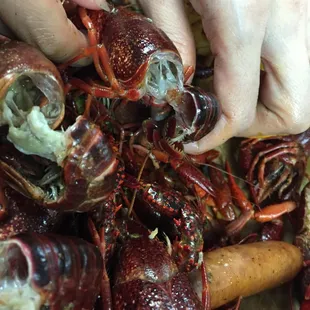 Rotten crawfish. Not even offered a refund.