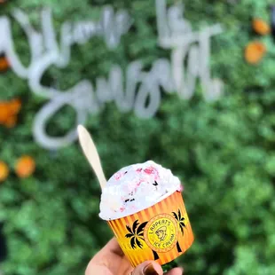 Honey Nuka --coconut pineapple ice cream with raspberry sherbet and brownie bits :)