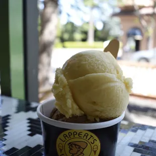 Passion Fruit Sorbet and The Mayor's