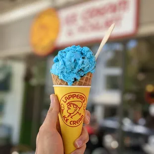 7/24/21 - Cookie Monster. Single Scoop waffle cone. Average.