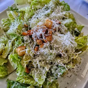 Ceaser Salad