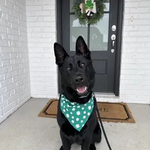 Bear loved his first visit!