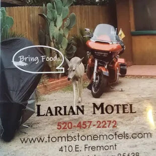 BEST MOTEL IN TOMBSTONE!
