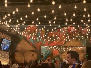 Canopy