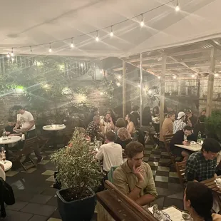 Back yard on a summer evening