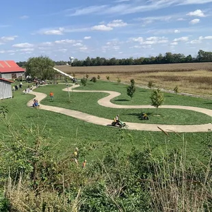View from the top of the slide