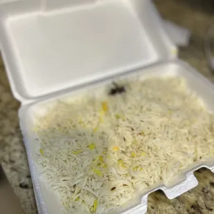 Rice